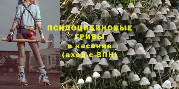 МДМА Гусев