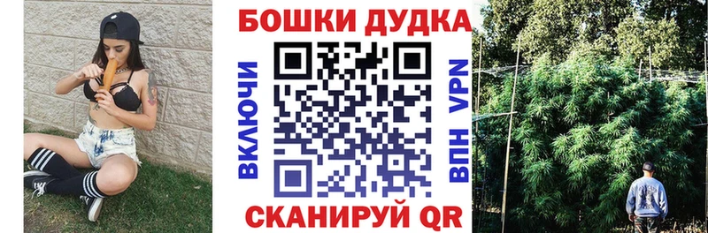 Шишки марихуана план  купить   Альметьевск 